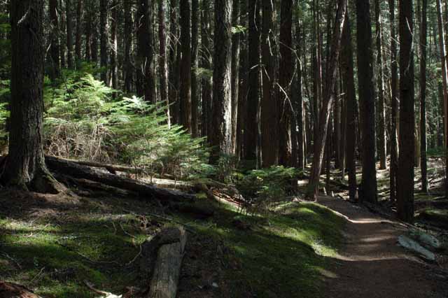 Johns Lake Trail